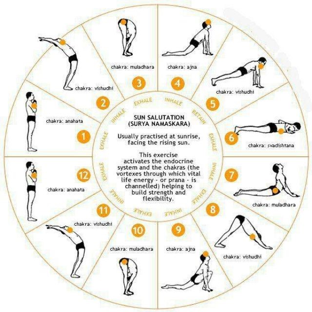 Surya Namaskar 
  Flow Chart